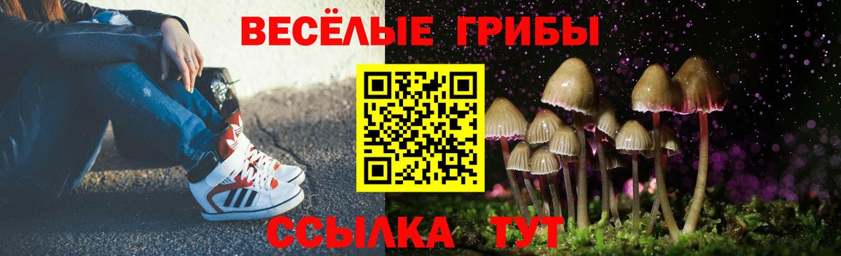 Нягань  Псилоцибиновые грибы Psilocybe  наркотики  Псилоцибиновые грибы GOLDEN TEACHER  Вход с VPN 